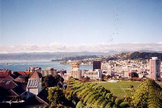 wellington